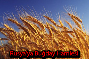 Türkiye Den Rusya Ya Buğday Hamlesi
