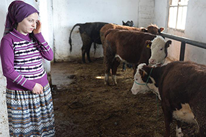 Giresunlu Kadınlar Devlet Desteğiyle Besiciliğe Atıldı