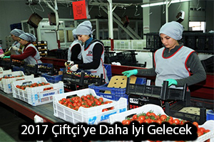 Tarım da İhracat Geçen Yıla Göre Daha İyi Başladı