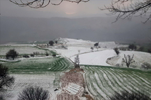 Tarlalar Beyaza Büründü