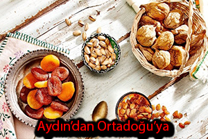 Aydın İnciri Ortadoğu Pazarına Açılıyor