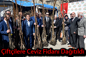 50 bin Ceviz Fidanının Dağıtımına Başlandı