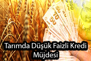 Tarıma Düşük Faizli İşletme Kredisi