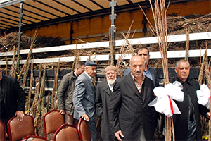 65 Bin Meyve Fidanı Dağıtıldı