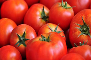 Rusya İle Domates Buluşması