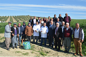 Zararlı Böcekleri Faydalı Böceklerle Yok Ediyorlar