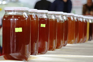 Malatya En İyi Bal ı Seçti