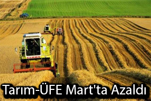 Tarım ÜFE Mart ta Azaldı