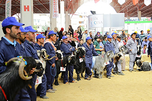 3 Teke Yöresi Tarım ve Hayvancılık Fuarı na Büyük İlgi