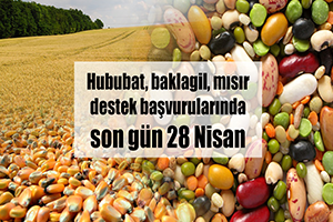 Hububat Baklagil Mısır Destek Başvurularında Son Gün 28 Nisan