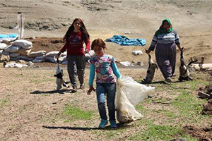 150 Hayvan Telef Oldu