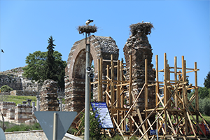 Leylekler UNESCO Kentinin Simgesi Oldu