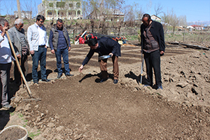 Tütün Ekimi Başladı