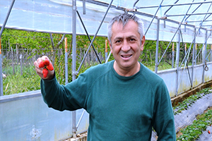 Ordu lu Çiftçiler Çileği Sevdi