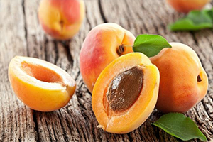 Malatya Kayısısı TARSİM e Emanet