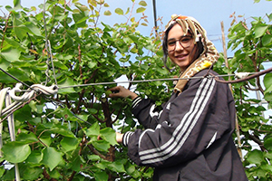 Yılın İlk Örtü Altı Hasadı Yapıldı