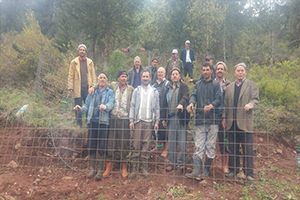 Bigadiç de İmece Güzelliği