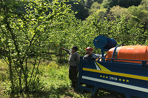 Fındık Üreticileri Hastalıkla Mücadele Ediyor