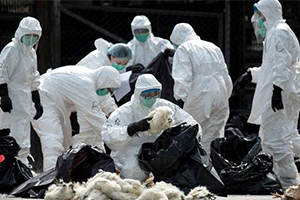 Üreticilere Kuş Gribi Uyarısı