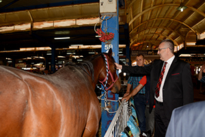 Küçükbaş Hayvan ve Ekipmanları Tanıtım Günleri ne İlgi Büyük