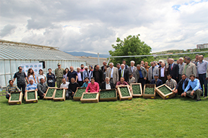 Tokat Hazır Sebze Üretimi İçin Kolları Sıvadı