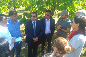 Çin Tarım Heyeti Kiraz Bahçelerinde