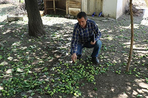 Dolu 82 Köyde Zarara Yol Açtı