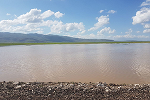 Yağışlar Tarla Ürünlerini Vurdu