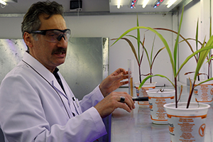 Atık Moleküle Bitkiler İçin Yeniden Hayat Verdiler