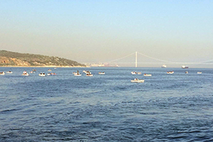 Körfez de Balık Çeşitliliği Artacak