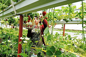 Hobisini Ticarete Dönüştürdü