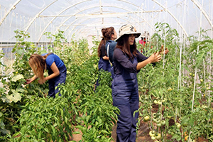 Genç Çiftçi Projelerinin Başvuru Değerlendirme Sonuçları Açıklandı