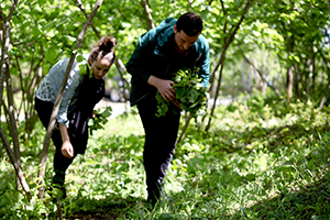 Fırtına Fındık Bahçelerine Zarar Verdi