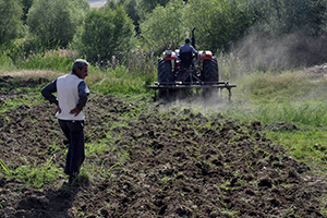 Diyarbakır Karpuzu Artık Festivaller İçin Üretiliyor