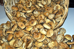 Başkan Ülken Er ya da Geç İncire Destek Verilecek