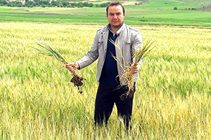 Toprağı İkinci Ürün Ekimine Hazırlamak İçin Anız Yakma Saman Olsun Kampanyası Başlatıldı