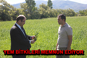 Çiftçiler Yem Bitkilerinden Memnun