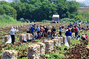 Tarım ÜFE Mayıs Ayında Yüzde 3 79 Arttı