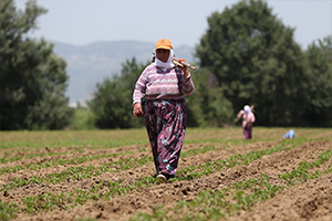 Tarım dan 5 Milyonluk İstihdam