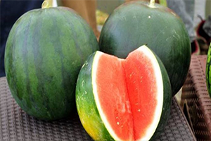 Çekirdeksiz Karpuza İlgi Artıyor