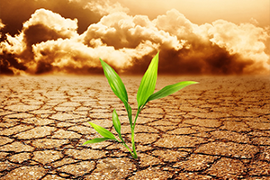 Dünya Çölleşmeyle Mücadele Günü