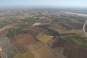 Amik Ovası Meyve Bahçesine Dönüyor