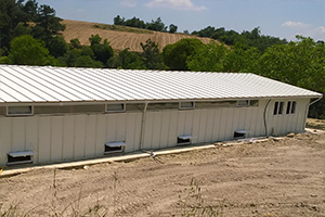 Tavuk Yetiştirme Tesisi Açıldı