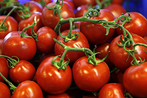 Rusya dan Domates İthalatına Şartlı Yeşil Işık