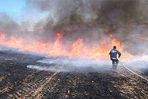 Anız Yakanlara Ceza Kapıda