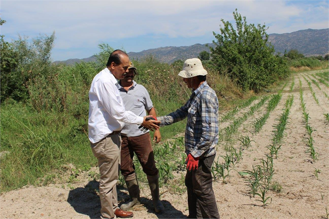 Başkan Ozan ın Tarla Ziyareti