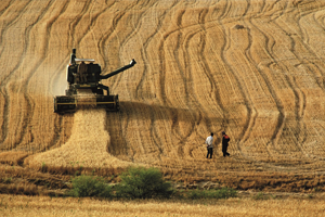 ÇKS Başvurularında Son Gün 30 Haziran