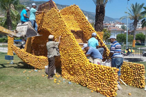 Portakal Festivali Başlıyor
