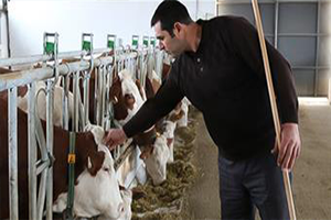 Bakan Açıkladı Yetiştiricilerimiz Rahat Olsunlar