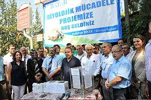 Faydalı Böcekler Doğaya Salındı